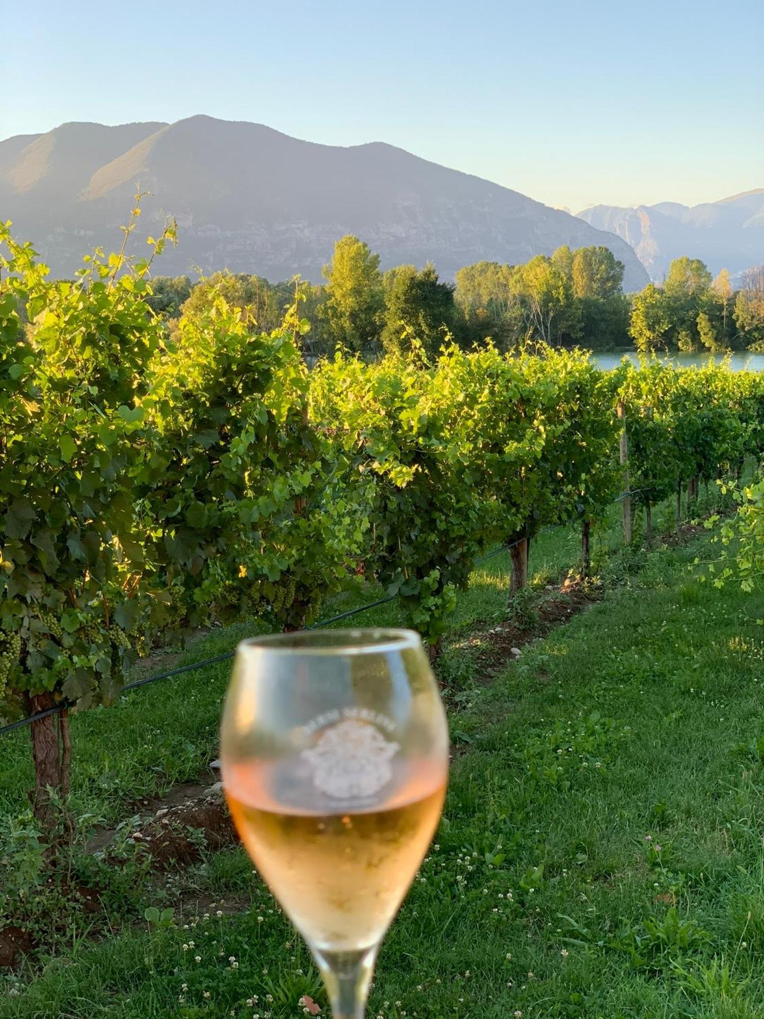 La Casa Di Saten - Appartamento In Franciacorta Erbusco Exteriér fotografie
